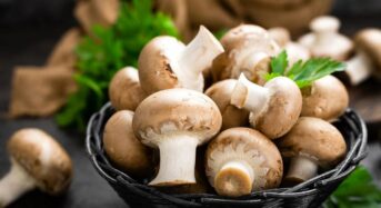 Benefits of Mushrooms For Health: A Superfood That Lowers Depression, Improves Mood, And Regulates Blood Sugar