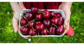 7 Ways Sweet Cherries Can Help Your Health