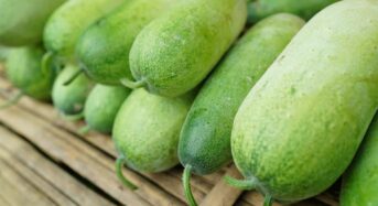 10 Amazing Health Advantages Of Ash Gourd Juice