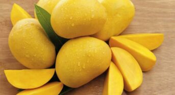 Mango To Litchi: 5 Cool Summer Fruits in India and Their Health Benefits