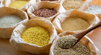 8 Millets For Blood Sugar Control And Weight Loss
