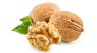 Lowering Blood Sugar And Cholesterol: 10 Health Advantages Of Eating One Soaked Walnut Per Day