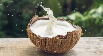 Coconut Milk Benefits: 5 Reasons in Favour of Using This Drink for Good Skin and Hair