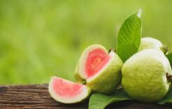 Top 5 Health Benefits Of Eating Guava This Summer For High Cholesterol Management Diet Tips
