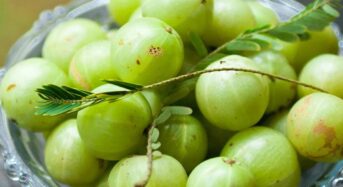 How Amla Juice Can Help You Lose Weight This Summer and Help You Stay Fit