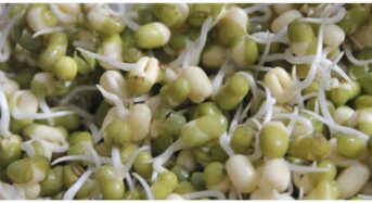 6 Benefits Of Eating Sprouted Moong Dal Every Day