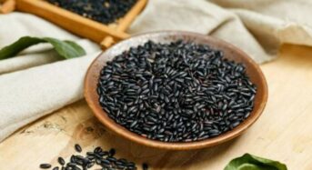 Healthy Eating: 6 Benefits Of Using Manipur’s Black Rice Instead Of Regular Rice