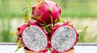 Dragon Fruit Delight: Revealing The Health And Wellness Benefits Of This Superfood