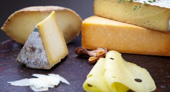 Eating More Cheese May Slow Down The Ageing Process