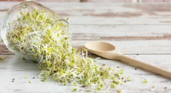 Benefits of Sprouts for Health Include Better Digestion, Weight Management, Increased immunity, and more