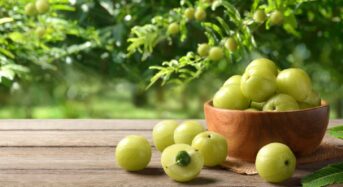 6 Ways Amla Can Benefit Your Health During the Monsoon