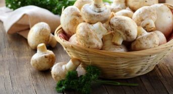 Benefits of Mushrooms For Health: 6 Reasons to Incorporate this Nutrient-dense Superfood into Your Diet Every Day