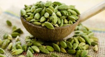 5 Reasons for Regular Cardamom Consumption for Healthy Skin and Hair