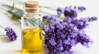 Benefits of Essential Oils for Health: Use Chamomile and Lavender to Ease Stress and Anxiety