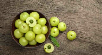 Amla Seeds’ Health Benefits: A Natural Gem That Needs to be Included in Each Diet Plan