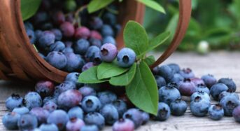 Rich in Antioxidants Foods: Eat Turmeric and Blueberries to Strengthen Your Heart and immunity