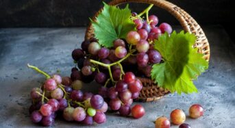 Red Grapes are a Nutrient-rich Fruit That can Help Lower Blood Sugar and Maintain Heart Health