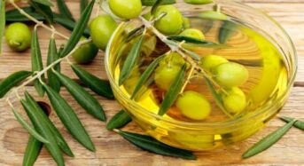 5 Reasons to Eat Olive Fruits for Eye Health and Weight Loss