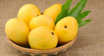 How Mangoes Help Acne and Promote Healthy Skin by Hydrating the Skin