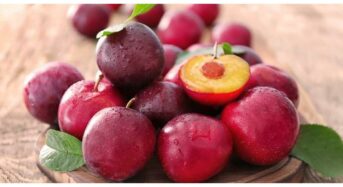 Plums for Heart, Blood Sugar, Bone, and Skin Wellness: Boost Your Health Every Day