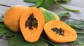 Papaya Benefits for Health include improved immunity, Digestion, and Skin Health when Consumed on an Empty Stomach