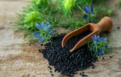 5 Powerful Health Benefits Of Kalonji Or Nigella Seeds For General Well-Being