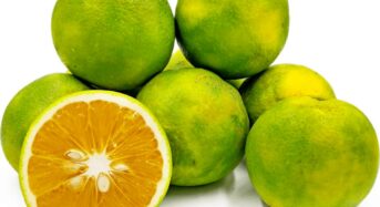 Sweet Limes: A Sweet and Tangy Miracle Drink that improves Heart Health and Helps with Weight Loss