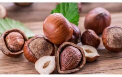 A Healthy Treat for Your Nuts: Including Turkish Hazelnuts in Your Diet has 5 Health Benefits