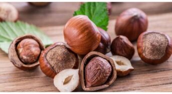 A Healthy Treat for Your Nuts: Including Turkish Hazelnuts in Your Diet has 5 Health Benefits