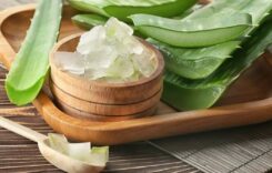 Aloe Vera or Amla: Which Is Better for Hair Growth?