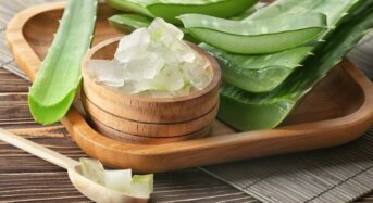 Aloe Vera or Amla: Which Is Better for Hair Growth?