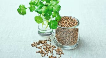 Dhaniya Leaves Shot: 6 Benefits of Drinking Coriander