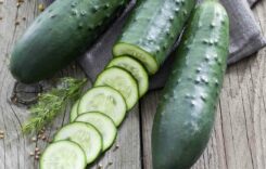 10 Surprising Health Benefits of Eating Cucumber Daily