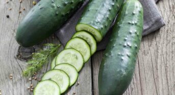 10 Surprising Health Benefits of Eating Cucumber Daily