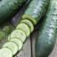 10 Surprising Health Benefits of Eating Cucumber Daily