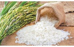 The Health Benefits of Fortified Rice include its High iron, Vitamin, Zinc, Folic Acid, and More