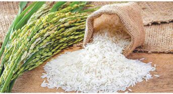 The Health Benefits of Fortified Rice include its High iron, Vitamin, Zinc, Folic Acid, and More