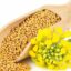 5 Strong Reasons for Including Mustard Seeds in Your Regular Meals