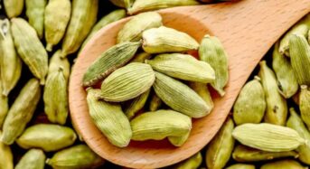 Benefits of Cardamom for Health: Use the Queen of Spices to Control Diabetes and Maintain A Healthy Heart and Liver