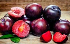 Plums’ Health Benefits include Blood Sugar Regulation, Bone Strength, and Heart Health