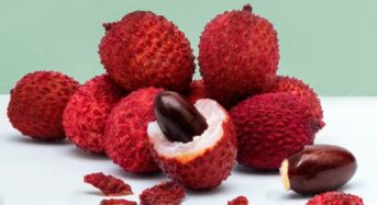 Lychee Seeds: Surprising Health Benefits that Everyone Should know About