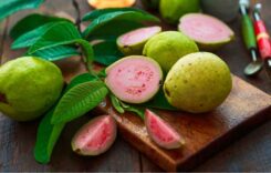 Explore the Amazing Health Benefits of Eating Guava Leaves Instead of Fruit