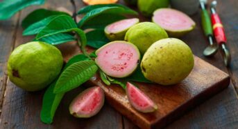 Explore the Amazing Health Benefits of Eating Guava Leaves Instead of Fruit