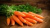 How to Keep Good Eyesight: Eat Carrots, Citrus Fruits, and Fish Every Day