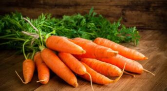 How to Keep Good Eyesight: Eat Carrots, Citrus Fruits, and Fish Every Day