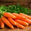 How to Keep Good Eyesight: Eat Carrots, Citrus Fruits, and Fish Every Day