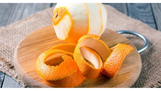 5 Surprising Health Benefits of Orange Peel You May Not Be Aware Of