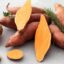 10 Reasons to Eat Sweet Potatoes in the Winter, from Heart Health to Cancer Prevention