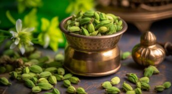 6 Reasons for Including Raw Cardamom Water in Your Winter Diet