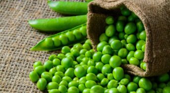 5 Vegetables High in Protein to Boost Your Intake